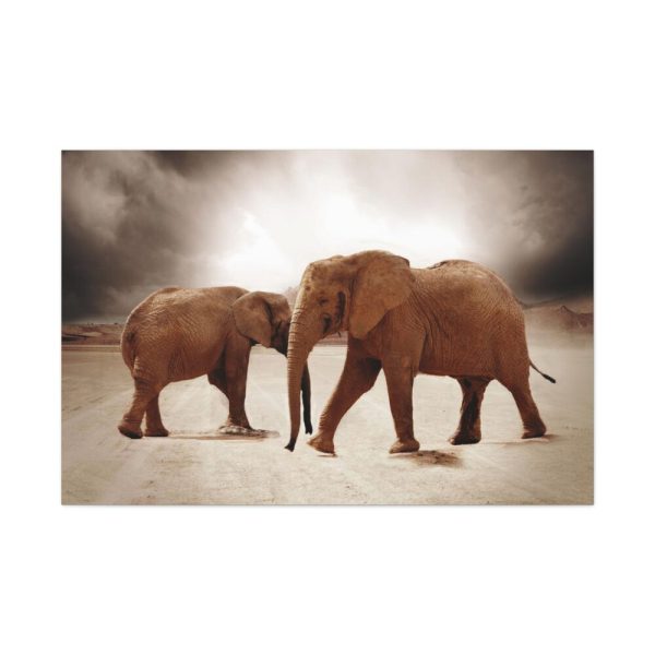91638-291.jpg African Elephants Standard Canvas