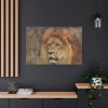 91638-3.jpg Beautiful Lion's Head Standard Canvas