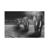 91638-301.jpg Elephants in Africa, Safari Standard Canvas