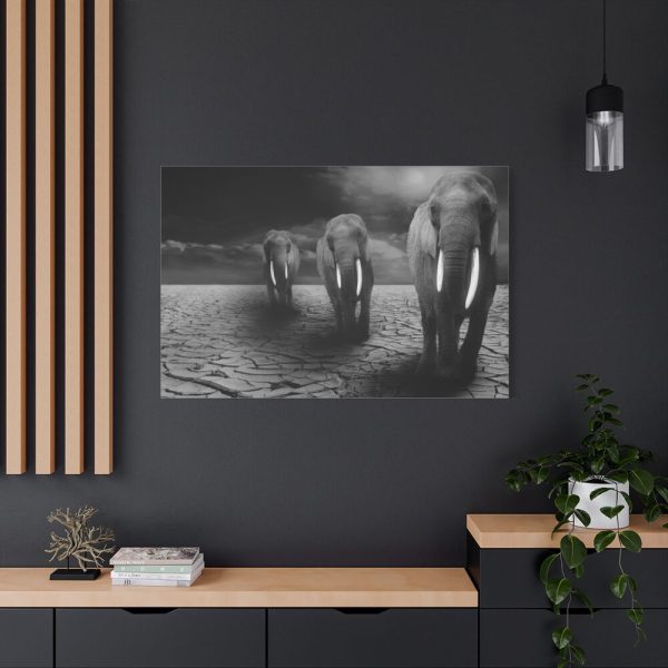 91638-303.jpg Elephants in Africa, Safari Standard Canvas