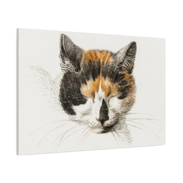 91638-310.jpg Head of a Calico Cat with Closed Eyes by Jean Bernard Standard Canvas