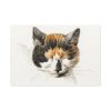91638-311.jpg Head of a Calico Cat with Closed Eyes by Jean Bernard Standard Canvas
