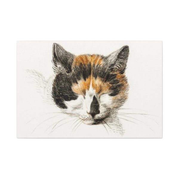 91638-311.jpg Head of a Calico Cat with Closed Eyes by Jean Bernard Standard Canvas