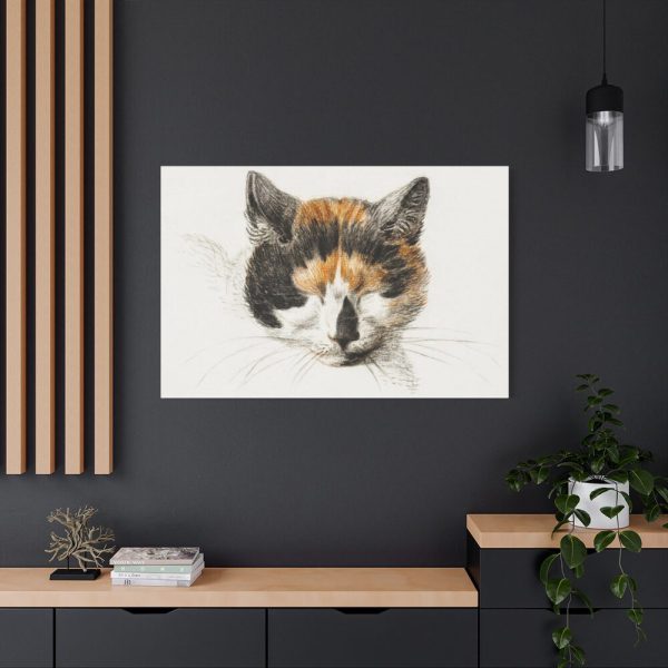 91638-313.jpg Head of a Calico Cat with Closed Eyes by Jean Bernard Standard Canvas
