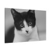 91638-315.jpg Bicolor Cat Standard Canvas