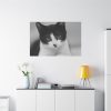 91638-317.jpg Bicolor Cat Standard Canvas