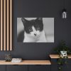 91638-318.jpg Bicolor Cat Standard Canvas