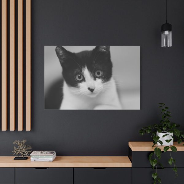 91638-318.jpg Bicolor Cat Standard Canvas