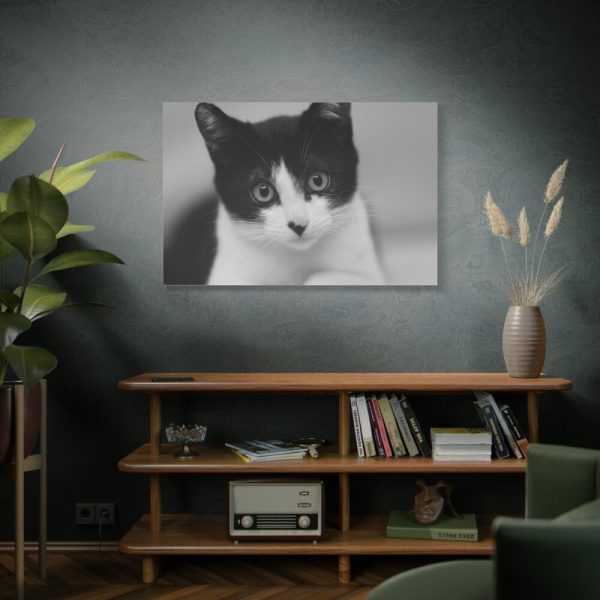 91638-319.jpg Bicolor Cat Standard Canvas