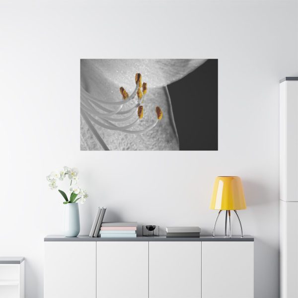Bloom Lily Standard Canvas