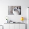91638-322.jpg Closeup of a Blue Eyed Cat Standard Canvas