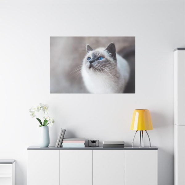 91638-322.jpg Closeup of a Blue Eyed Cat Standard Canvas