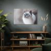 91638-324.jpg Closeup of a Blue Eyed Cat Standard Canvas