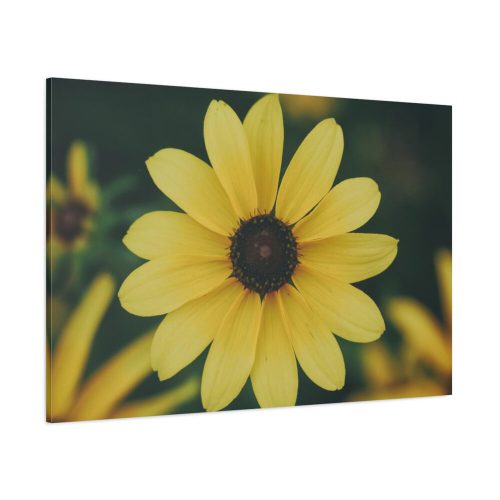 Blooming Yellow Petaled Flowers Standard Canvas