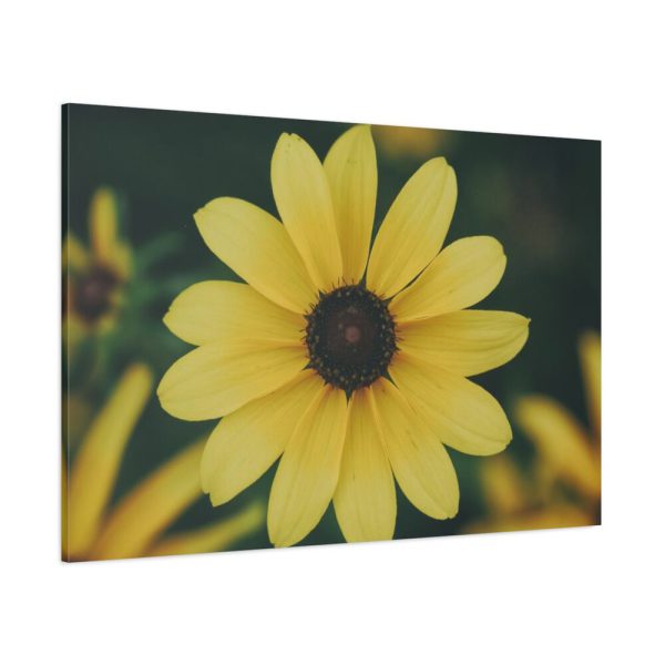 91638-325.jpg Blooming Yellow Petaled Flowers Standard Canvas