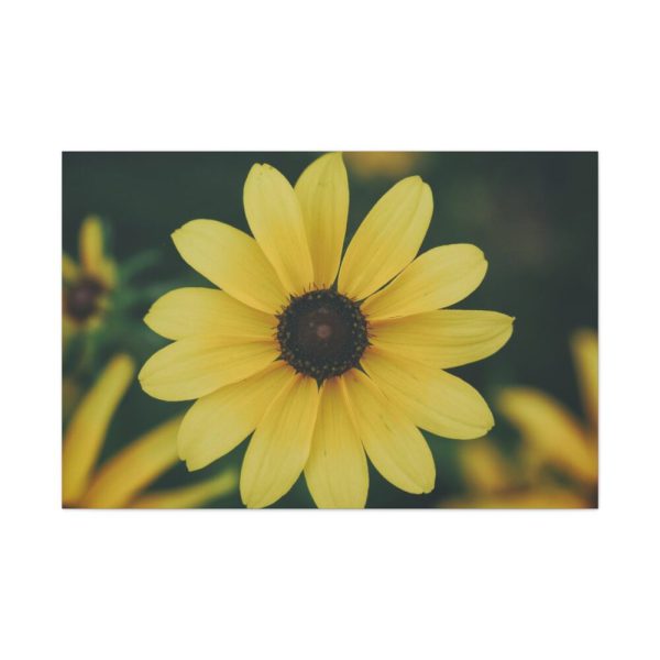 91638-326.jpg Blooming Yellow Petaled Flowers Standard Canvas