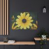 91638-328.jpg Blooming Yellow Petaled Flowers Standard Canvas