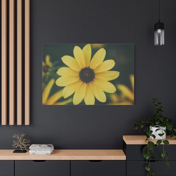 91638-328.jpg Blooming Yellow Petaled Flowers Standard Canvas