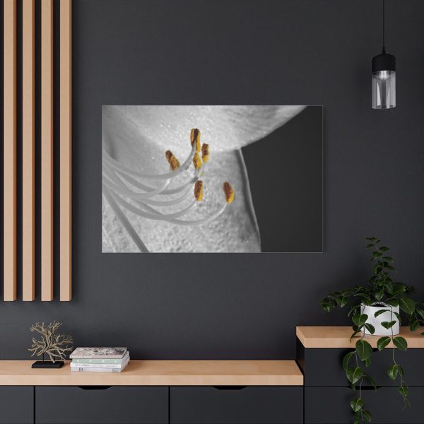 Bloom Lily Standard Canvas