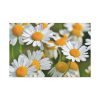91638-331.jpg White Flowers Standard Canvas