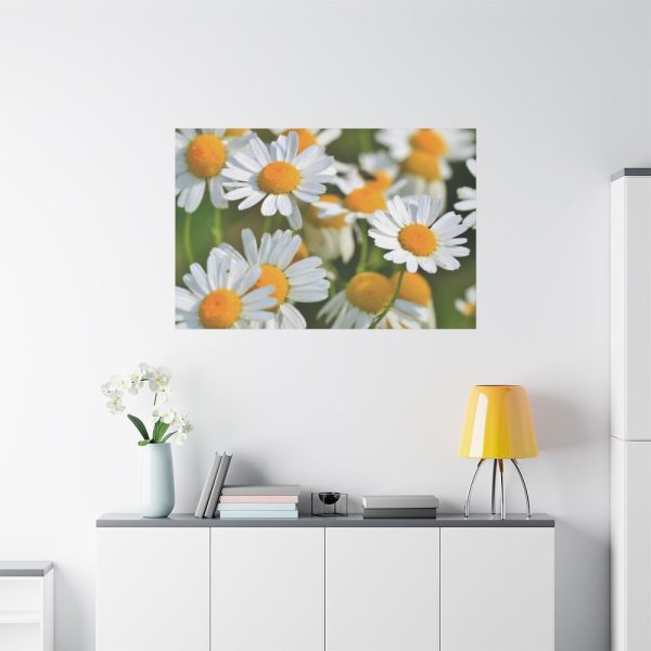 91638-332.jpg White Flowers Standard Canvas