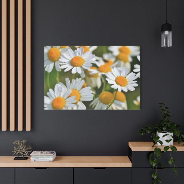 91638-333.jpg White Flowers Standard Canvas