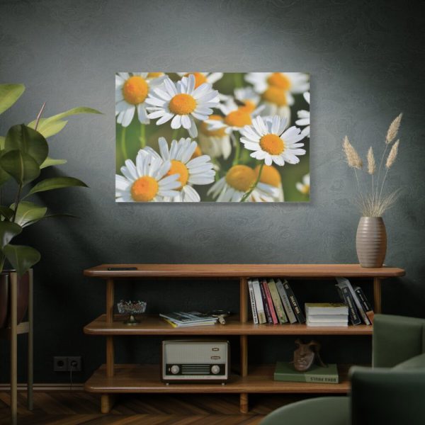 91638-334.jpg White Flowers Standard Canvas