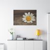 91638-337.jpg Daisy Family Standard Canvas