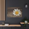 91638-338.jpg Daisy Family Standard Canvas