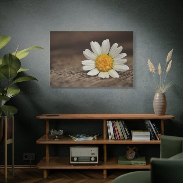 91638-339.jpg Daisy Family Standard Canvas