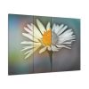 91638-340.jpg Flowering Plant Standard Canvas