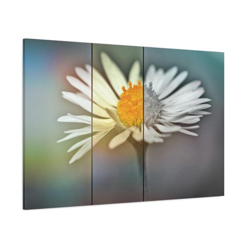 91638-340.jpg Flowering Plant Standard Canvas