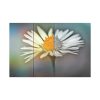 91638-341.jpg Flowering Plant Standard Canvas