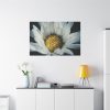 91638-347.jpg Daisy Pollen Standard Canvas