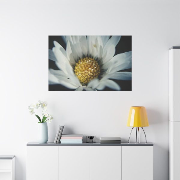 91638-347.jpg Daisy Pollen Standard Canvas