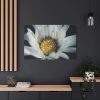 91638-348.jpg Daisy Pollen Standard Canvas