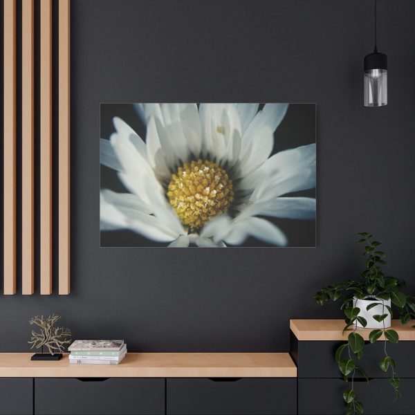 91638-348.jpg Daisy Pollen Standard Canvas