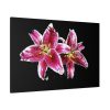 Tiger Lily Flower Standard Canvas