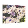 91638-350.jpg Flower Garden Standard Canvas