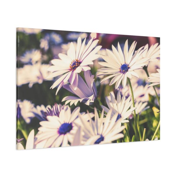 91638-350.jpg Flower Garden Standard Canvas