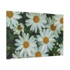 91638-355.jpg Blossom Daisy Standard Canvas