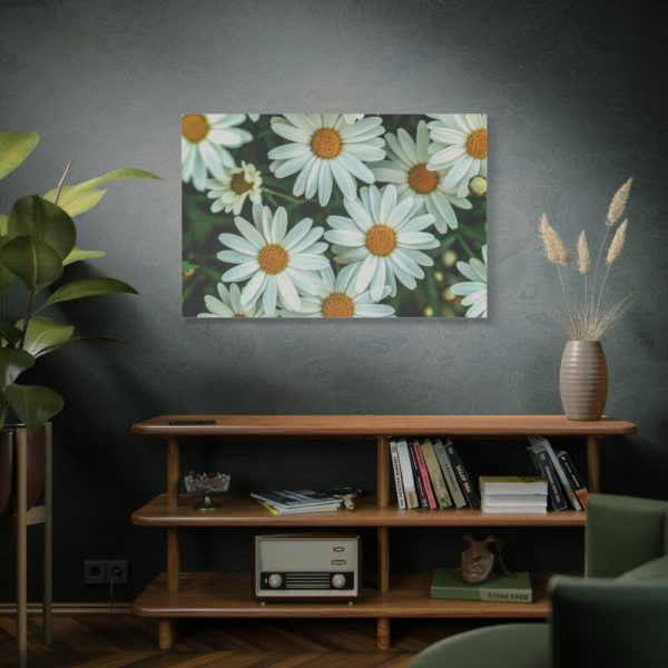91638-359.jpg Blossom Daisy Standard Canvas