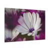 91638-360.jpg Flowering Plant Standard Canvas