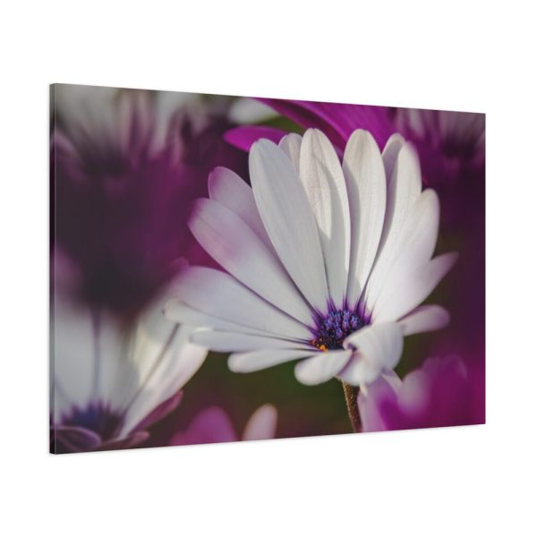 91638-360.jpg Flowering Plant Standard Canvas