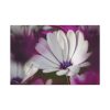 91638-361.jpg Flowering Plant Standard Canvas