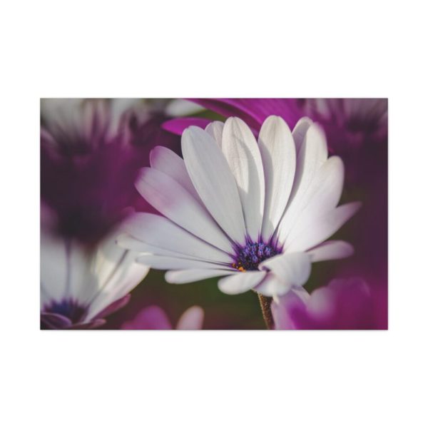 91638-361.jpg Flowering Plant Standard Canvas