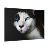 91638-365.jpg Bicolor Cat with Piercing Blue Eyes Standard Canvas