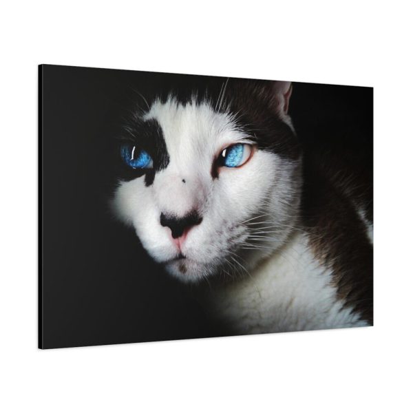 91638-365.jpg Bicolor Cat with Piercing Blue Eyes Standard Canvas