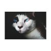 91638-366.jpg Bicolor Cat with Piercing Blue Eyes Standard Canvas