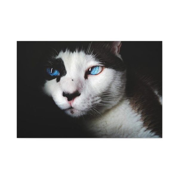 91638-366.jpg Bicolor Cat with Piercing Blue Eyes Standard Canvas